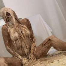Messygirl: A Glamour Model Gets More Than She Bargained For