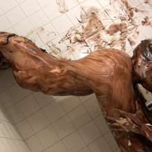 Messygirl: 