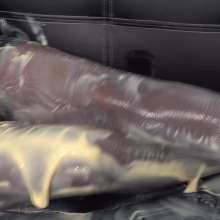 MostWam: Saucey Sexy Mel Gets Sweet and Sticky (Topless)