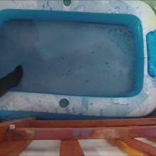 CandyCustard: Aston knee high leather boots and deep gunge orgasm