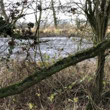 DavinaDeVille: Mud site