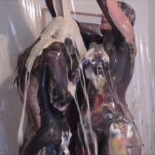 RevSlymsford: The Messy Will Bundle: 3 Hot Girls Trashed... bargain price