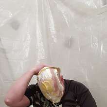 MessyYorkieLad: 