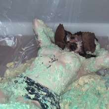 Jayce: Alice's Wonderland of Cakes, Hosiery, Icing to Nude, Full Feature!