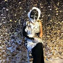 mrsbee: Mrs. Bee's Night at the Opera... not!  Some glam wam, though!