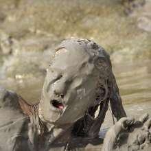 FOXY: The head full of mud
