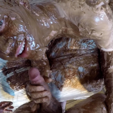 Alexxx: Fun With Frosting + Blowjob