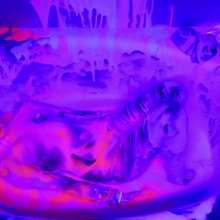 messyhot: Leda Uses Slime Foam and a Red Bull Can to Make a Mess