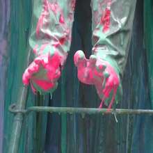 LiquidX: Lisa's FoxyMistress Surprise (Feet Cam)