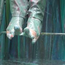 LiquidX: Lisa's FoxyMistress Surprise (Feet Cam)