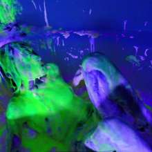 messyhot: Ziva Fey Squeals over Being Slimed and Foamed
