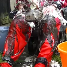 123gunge: Dishing out the dirt