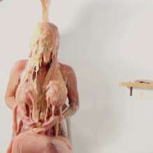 Kelsey Rose: 