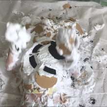 Kaydens: Laying Down Buried By Tons of Pies