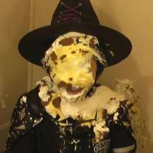Alumi: Pie Collection 5 is back!  With an exclusive clip unavailable elsewhere!