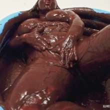 wamfan: Pour It On