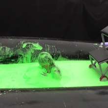 LiquidX: The Plunga!  Issy Vs Jo