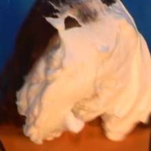 Alumi: Linda and Luce + shaving cream pies, honey, and chocolate + bare feet