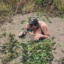 QS4Ever: Touch the Duckweed