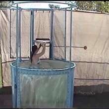 doctor_splash: Dunk Tank Featuring Haley and Leah in Bikinis