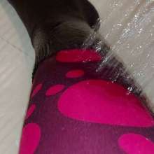 WetlookLoverVentolin: Wet Red Bubbles Lelosi Leggings and Black Socks