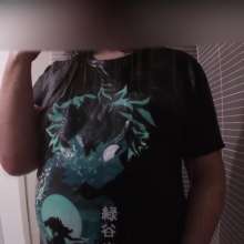 Swampert Hoennson: Anime Sweater and T-shirt Get Wet, Another Gets Ripped!