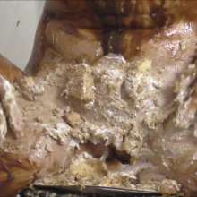 RevSlymsford: Belle's Forfeit 2: Cake Sitting, Paint, Yoghurt + Pies
