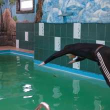 Wet Live Team: Danio in the Shower with Shampoo, Pool Fun Fully-dressed