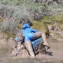 FOXY: Fantastic video "blue in mud"