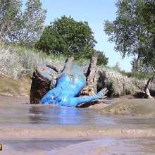 FOXY: Fantastic video "blue in mud"