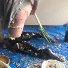 VioletVixen: Fucking Leeks N' Beans in Savory Slop with Dp and Beethoven