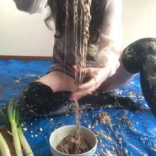 VioletVixen: Fucking Leeks N' Beans in Savory Slop with Dp and Beethoven