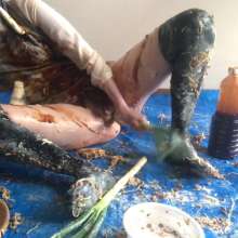 VioletVixen: Fucking Leeks N' Beans in Savory Slop with Dp and Beethoven