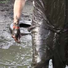 jace02116: Jace, Hired to Clean Waste from Muddy Swamp Ends Covered
