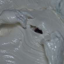 Jayce: One kitty Falls in, ONe kitty taunts-gunged-both stuck in Fluff!