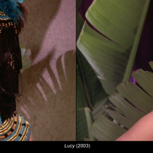 Gater: Identification of messy scenes from Lucy (2003)