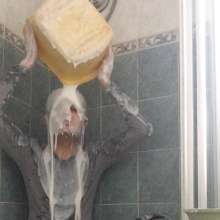wamlad999: Second White Gunging