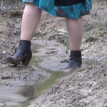 Northern Wam: Small Muddy Stream