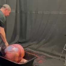 GungeSlut96: Tied Up, Pied, and Gunged