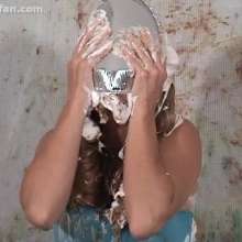 pie_sandwich_fan: 