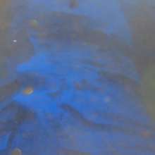 WetandMuddy: Video 83--Blue Bayou