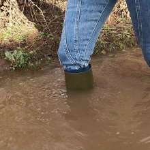 WetandMuddy: Video 83--Blue Bayou