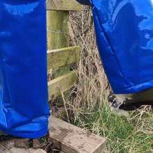 WetandMuddy: Video 83--Blue Bayou