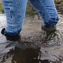 WetandMuddy: Video 83--Blue Bayou