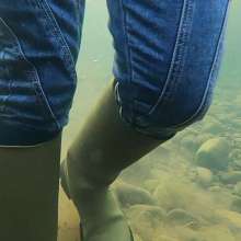 WetandMuddy: Video 83--Blue Bayou