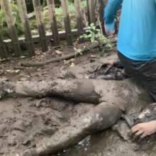 Gungeandlycraboy: Wetsuit and Scally Boy Mud