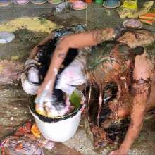RevSlymsford: Luna's Messy Revenge On School Bully: Ties Up + Trashes Her