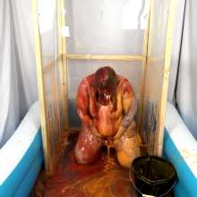 CheekyLuna: Cheekyluna's Gifted White Leotard Meets Gifted Gunge