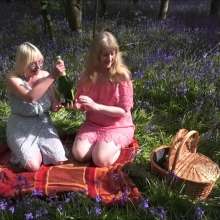 Splosh at LA Studio: Food and Fizz in the Bluebell Wood