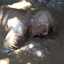 Darkabyss445: Formal Clothes Dare in Mud Gone Wrong